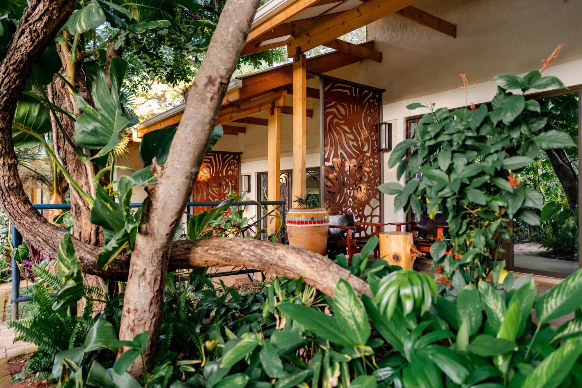 Shongwe Oasis Hotel Victoria Falls Eksteriør billede